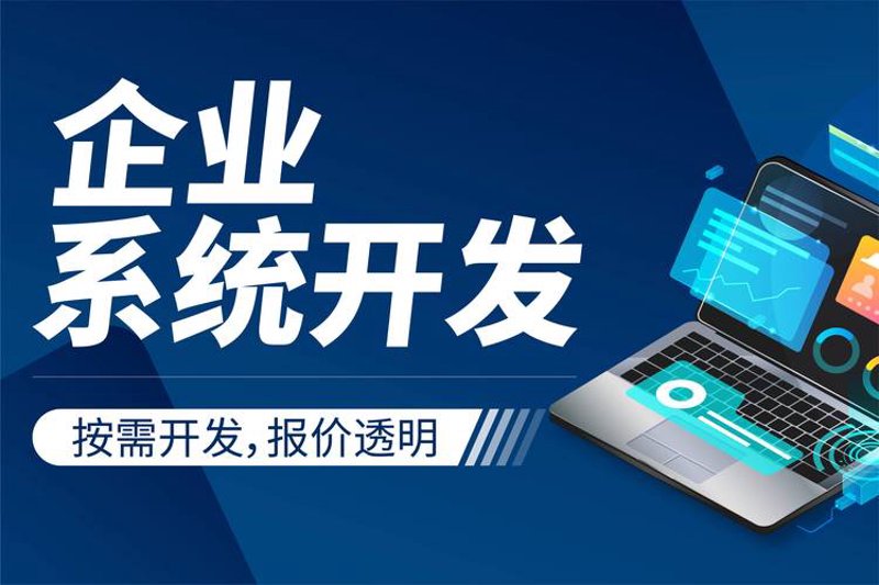 北京软件定制开发：企业智能引擎